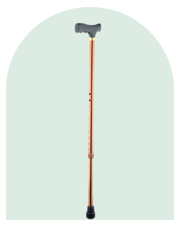 Excell Walking Stick